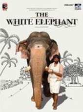 白象（2009）線上看_高清完整版線上看_好看的電影