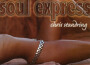 Soul Express專輯_Chris StandringSoul Express最新專輯