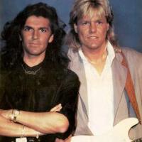 Modern Talking圖片照片_Modern Talking