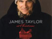 the christmas song (chestnuts roasting on an open歌詞_James Taylorthe christmas song (chestnuts roasting on an open歌詞