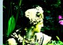 Parliament最新歌曲_最熱專輯MV_圖片照片