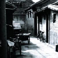 張浩南的行樂紀歌曲歌詞大全_張浩南的行樂紀最新歌曲歌詞