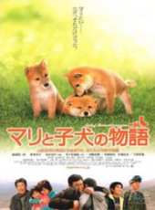 松本明子演過的電影電視劇線上看_影視作品大全_好看的明星