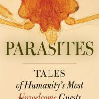 Parasites圖片照片_照片寫真